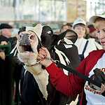 «Золотая осень»