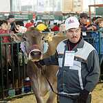 «Золотая осень»