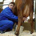 «Золотая осень»