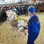 «Золотая осень»