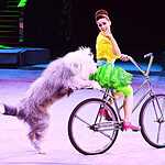  Всемирный фестиваль циркового искусства ИДОЛ-2014