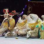  Всемирный фестиваль циркового искусства ИДОЛ-2014