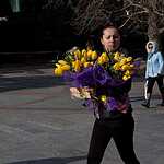 Прекрасный Крым и несезонная Ялта