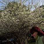 Прекрасный Крым и несезонная Ялта