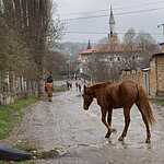 Прекрасный Крым и несезонная Ялта