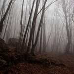 Прекрасный Крым и несезонная Ялта