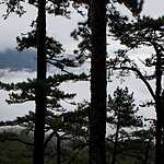 Прекрасный Крым и несезонная Ялта