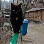 Прекрасный Крым и несезонная Ялта