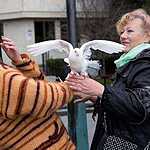 Прекрасный Крым и несезонная Ялта