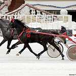 Cезон испытаний лошадей рысистых пород