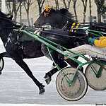 Cезон испытаний лошадей рысистых пород