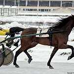 Cезон испытаний лошадей рысистых пород