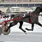 Cезон испытаний лошадей рысистых пород