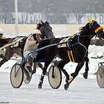 Cезон испытаний лошадей рысистых пород