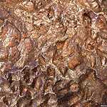 Новые метеориты в планетарии