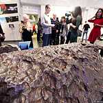 Новые метеориты в планетарии