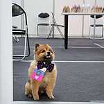 Неделя моды в Москве