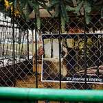 Задержание защитников оленя