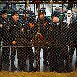 Задержание защитников оленя