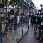 Задержание защитников оленя