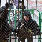 Задержание защитников оленя