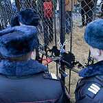 Задержание защитников оленя