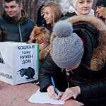 Митинт в Рязани