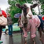 «Ретро-фест» в Сокольниках