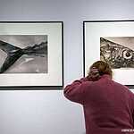 Мультимедиа  Арт Музей