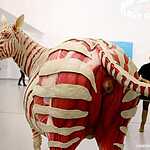 Мультимедиа  Арт Музей