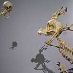 Мультимедиа  Арт Музей