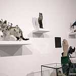 Мультимедиа  Арт Музей