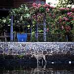 Таиланд. Бангкок