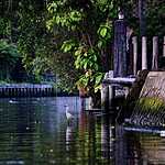 Таиланд. Бангкок