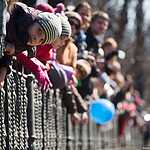 Парад трамваев на Чистых прудах