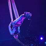 UFO. Цирк с другой планеты