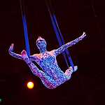 UFO. Цирк с другой планеты