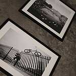 Bicycle Film Festival