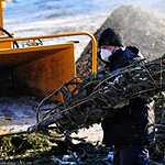 Утилизация новогодних елок во Владивостоке