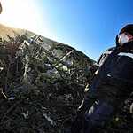 Утилизация новогодних елок во Владивостоке