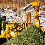 Утилизация новогодних елок во Владивостоке