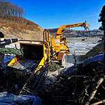 Утилизация новогодних елок во Владивостоке