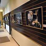 Выставка Евгения Чеснокова