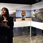 World Press Photo 2014