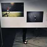 World Press Photo 2014