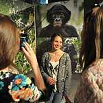 World Press Photo 2014