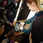 Журналисты сдали ЕГЭ по русскому языку