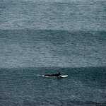 Зимний серфинг