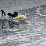 Зимний серфинг