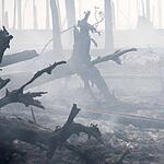 В Тверской области горят леса